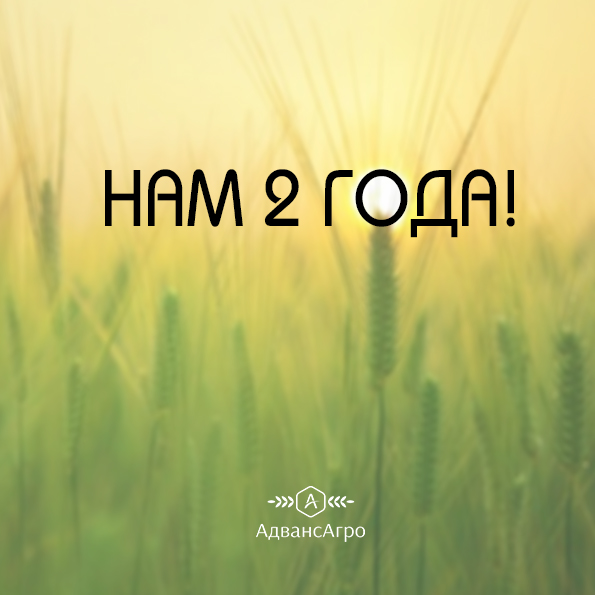 Нам исполнилось 2 года!