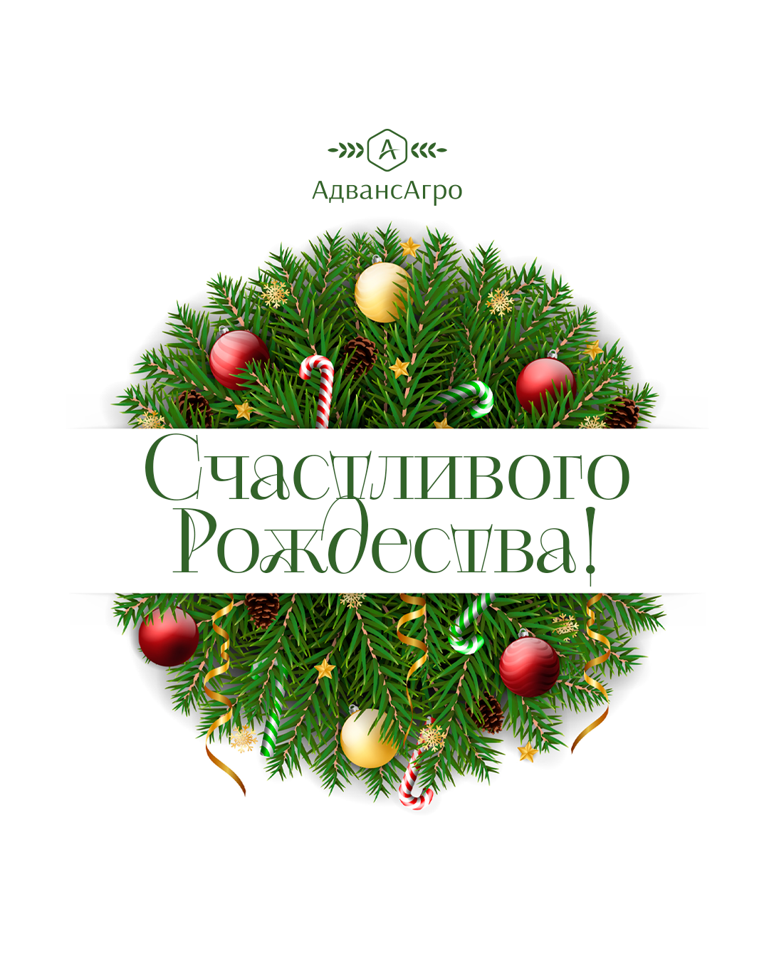 С Рождеством!